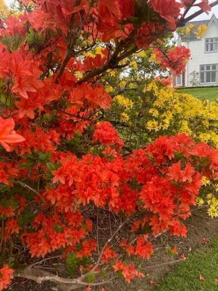 Knolton Hall